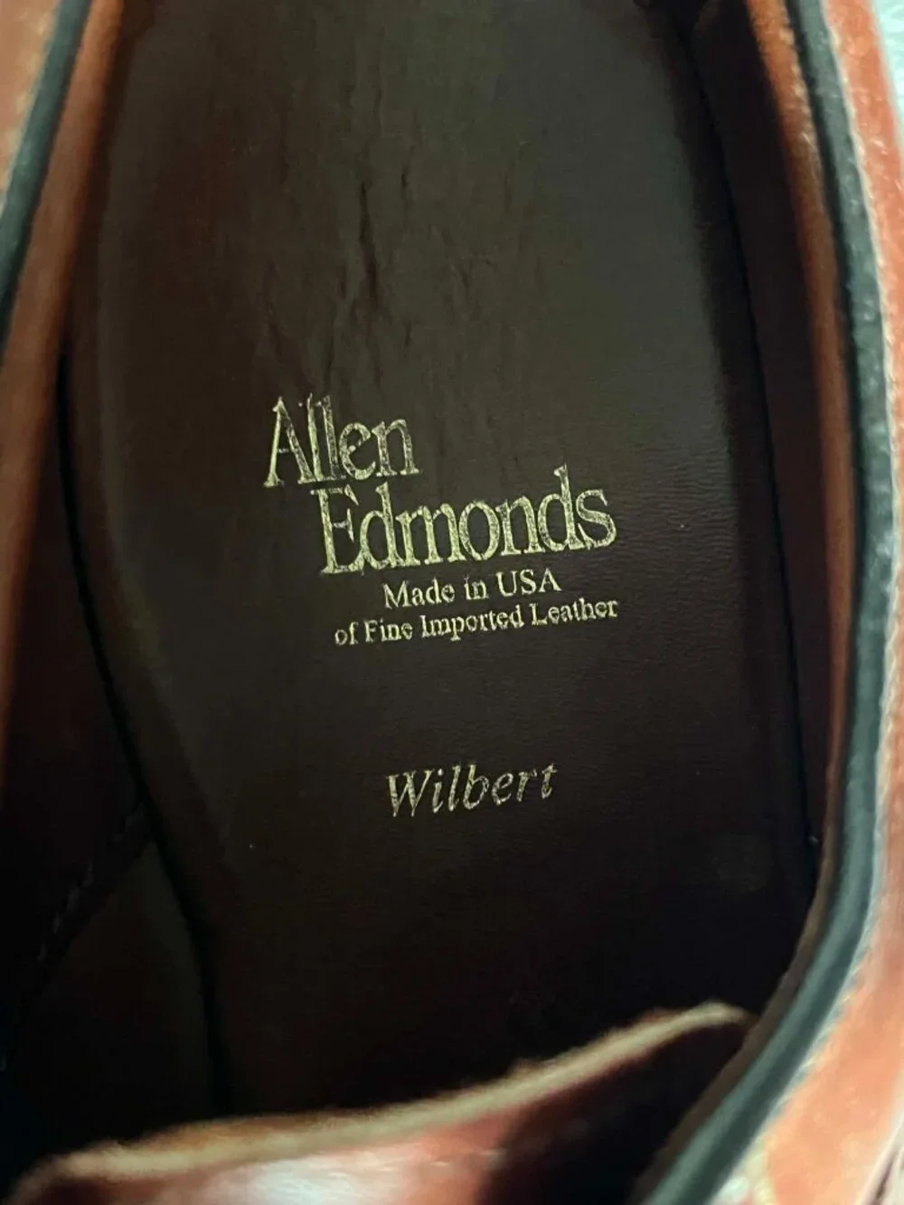 Allen Edmonds Wilbert Shoes in Chili Brown Leather with a split Moc Toe size 9D